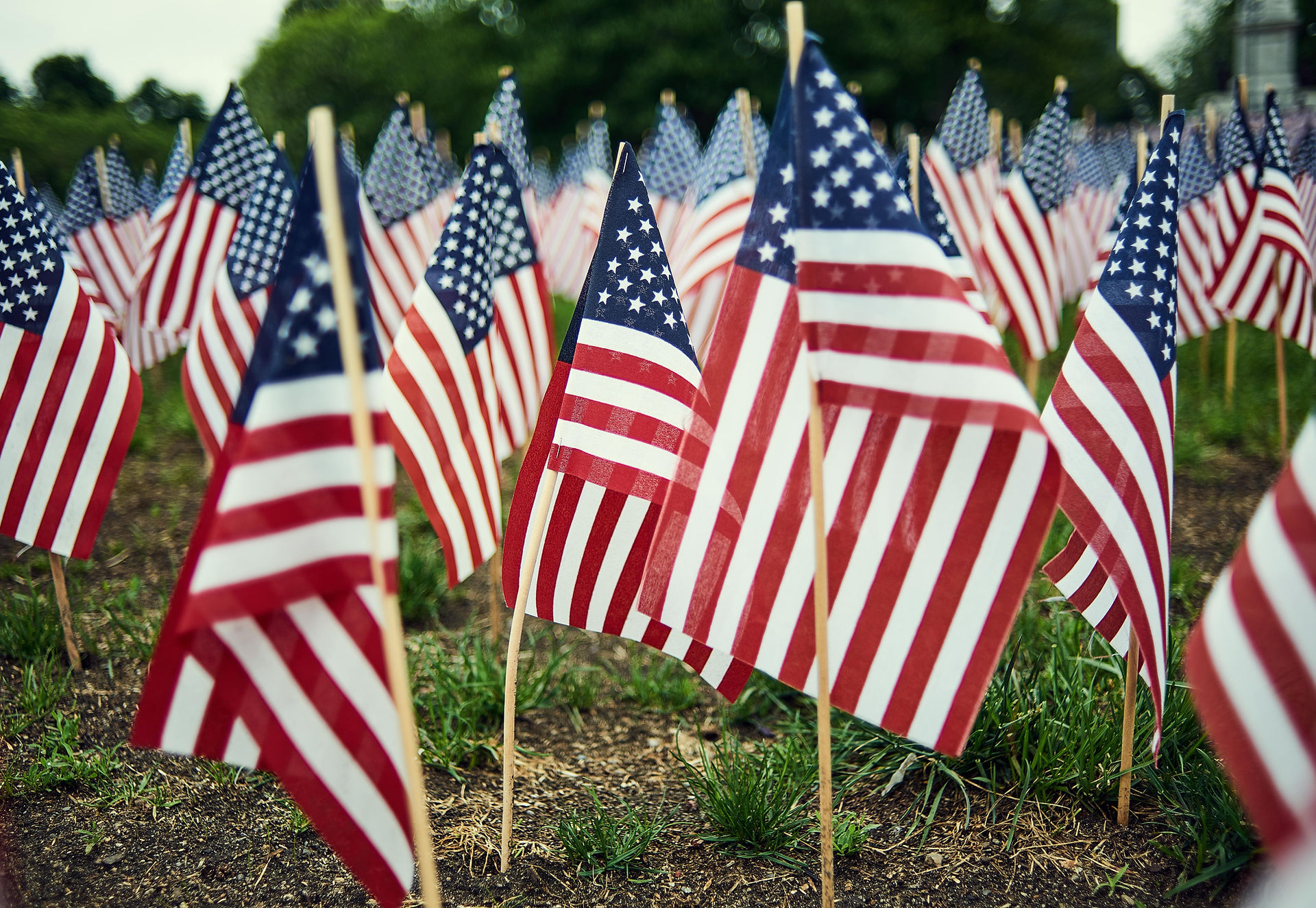 American Flags